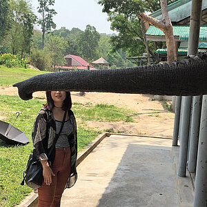reise trends Thailand Elephant Parade Mosha begrüßt die Besucher Foto: Rüdiger Berger