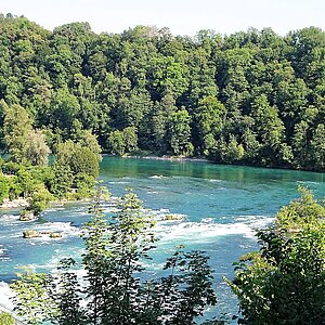reise trends Schweiz: Rheinfall Schaffhausen Der ruhige See  Foto: Rüdiger Berger