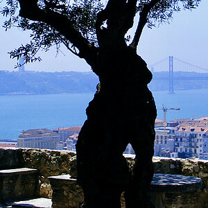 reise trends Portugal Lissabon Blick Auf den Tejo von der Burg Foto: Rüdiger Berger