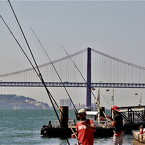 reise trends Portugal Lissabon Angler am Tejo Foto: Rüdiger Berger