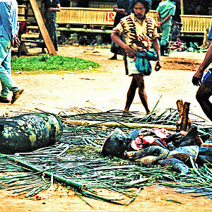 reise trends Tana Toraja: Opfergaben der Trauerfeier werden zubereitet Foto: Rüdiger Berger
