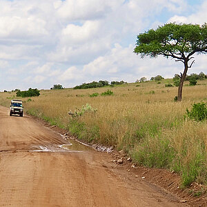 Savanne im Masai Mara Nationalpark in Kenia. Foto: Franziska Teply