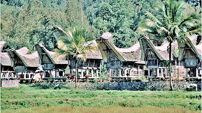 reise trends Tana Toraja: Typische Bauweise der Häuser Foto: Rüdiger Berger
