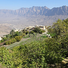 Die Oase Wakan Village im Oman. Foto: Rüdiger Berger