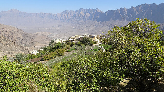 Die Oase Wakan Village im Oman. Foto: Rüdiger Berger