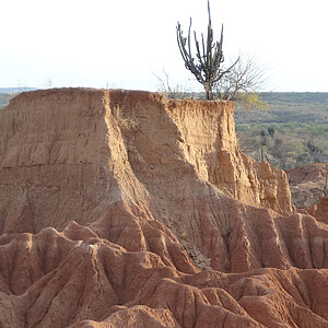 Die rote Wüste (Deserte de la Tatacoa) in Kolumbien. Foto: Rüdiger Berger