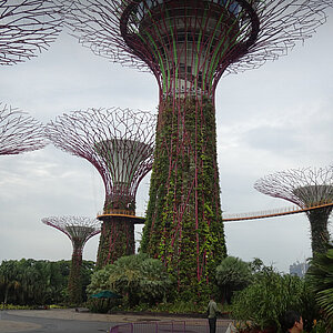 reise trends Singapur: Singapur Gardens by the Bay Foto: Rüdiger Berger