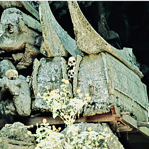 reise trends Tana Toraja: Eine Grabstätte im einer Felsenhöhle Foto: Rüdiger Berger