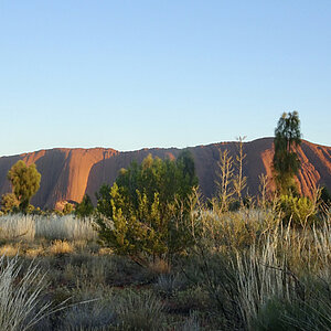 reise trends Australien Uluru im ersten Sonnenlicht Foto: Rüdiger Berger