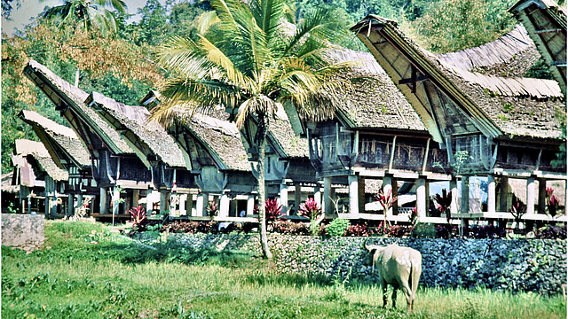 reise trends Tana Toraja: Typische Häuser Foto: Rüdiger Berger