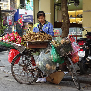 Marktfrau in Vietnams Hauptstadt Hanoi. Foto: Rüdiger Berger
