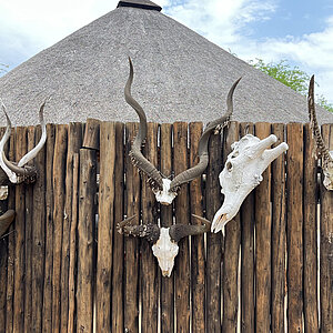 reise trends Südafrika Kambaku Safari Lodge Am Lehrpfad Foto: Rüdiger Berger