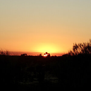 reise trends Australien Uluru Die Sonne geht auf Foto: Rüdiger Berger